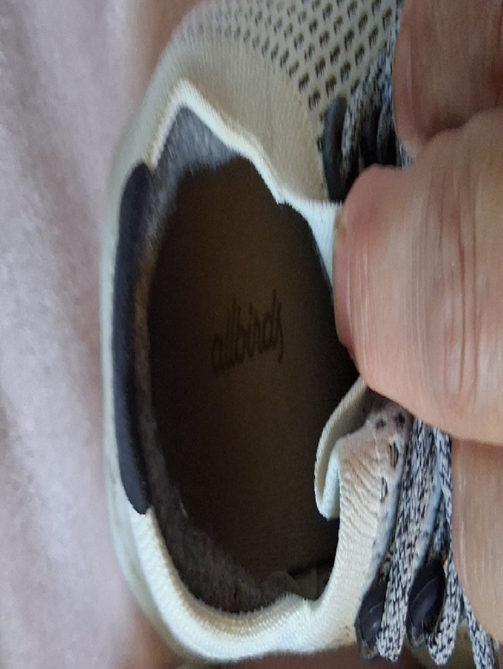 allbirds Kids Knit Lace-Up Sneakers - White/Cream with Gray Accents - Picture 6 of 8